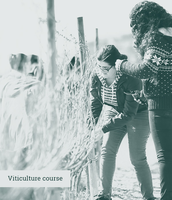 Viticulture Course