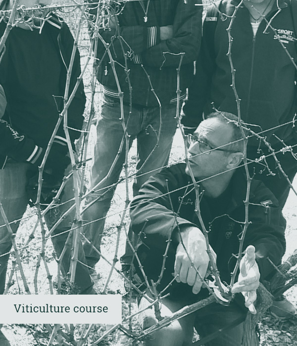 Viticulture Course