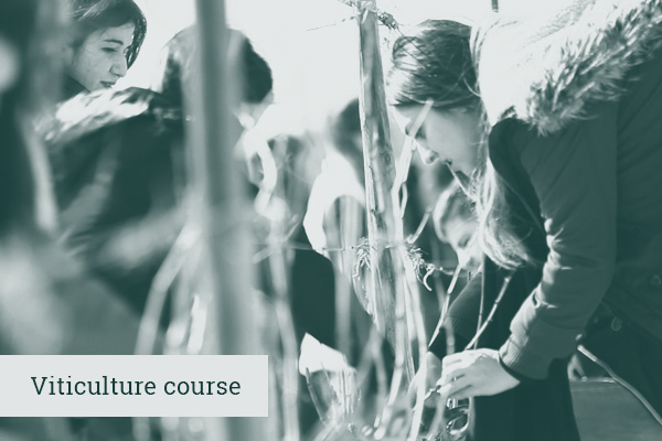 Viticulture Course