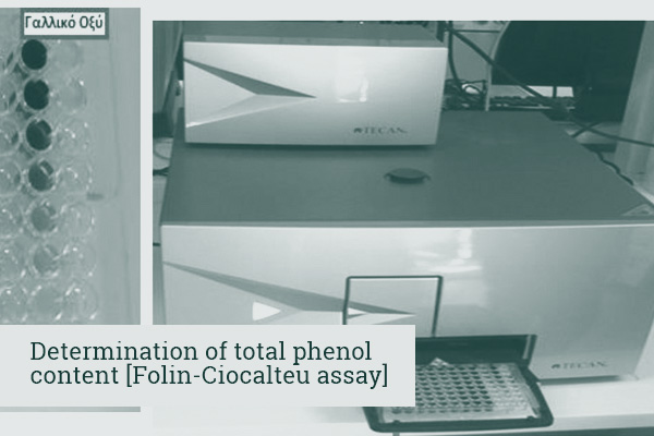 Postharvest Physiology & Technology