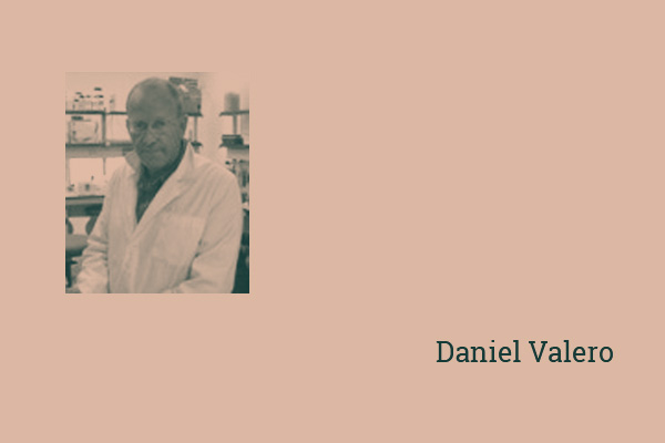 Seminar Daniel Valero