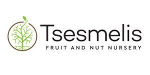 Tsesmelis Gold Sponsor