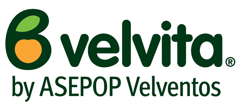 Velventos Bronze Sponsor